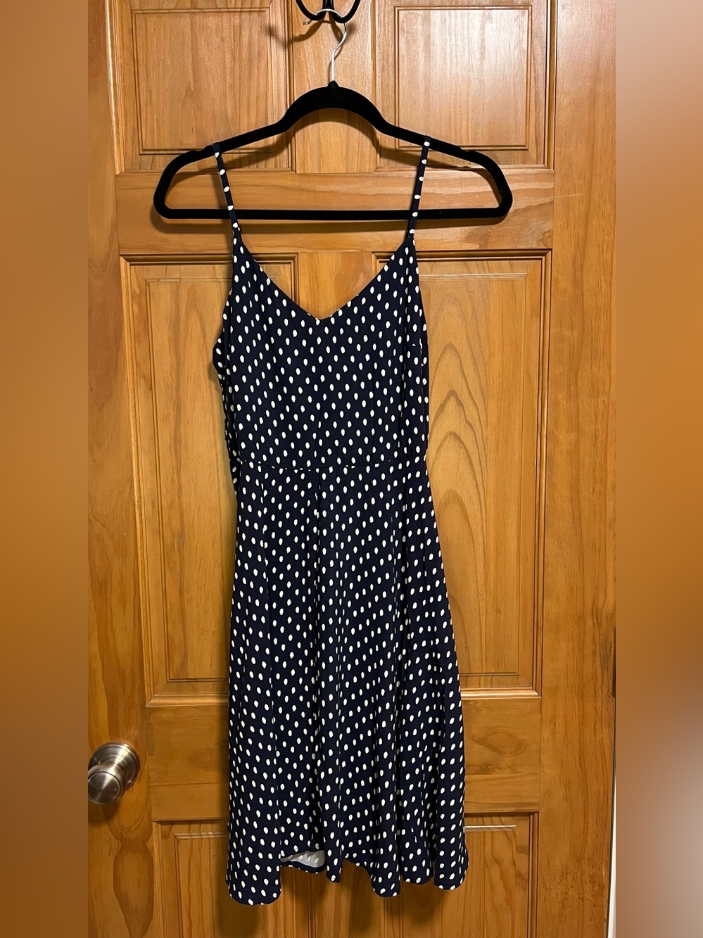 GAP Navy and Polka Dot Dress
